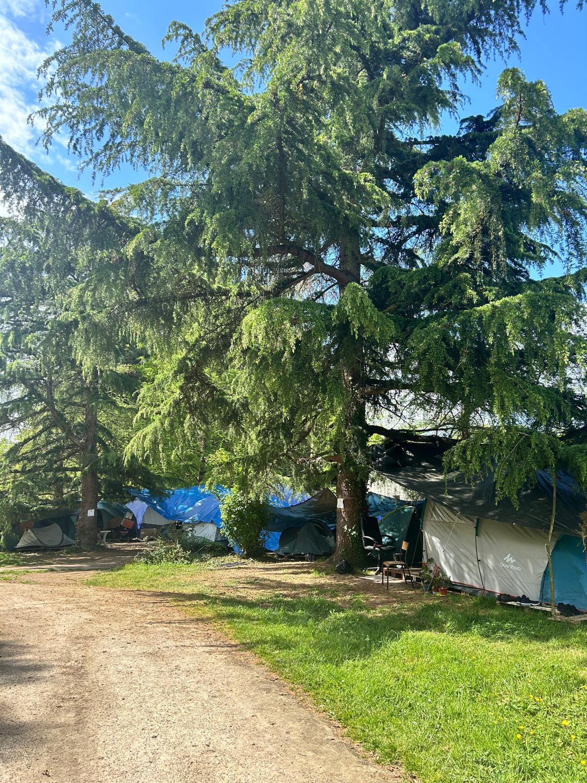 Camp 3